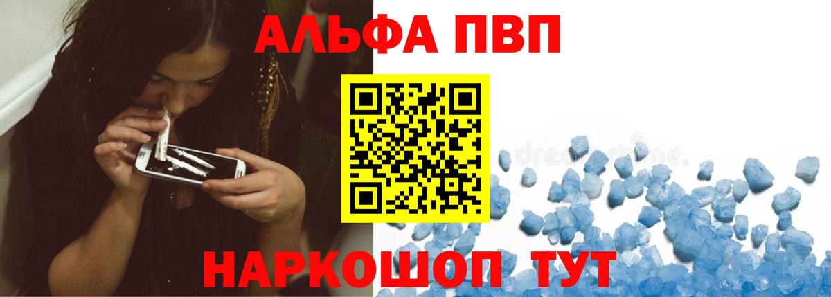Alfa_PVP СК КРИС Сочи