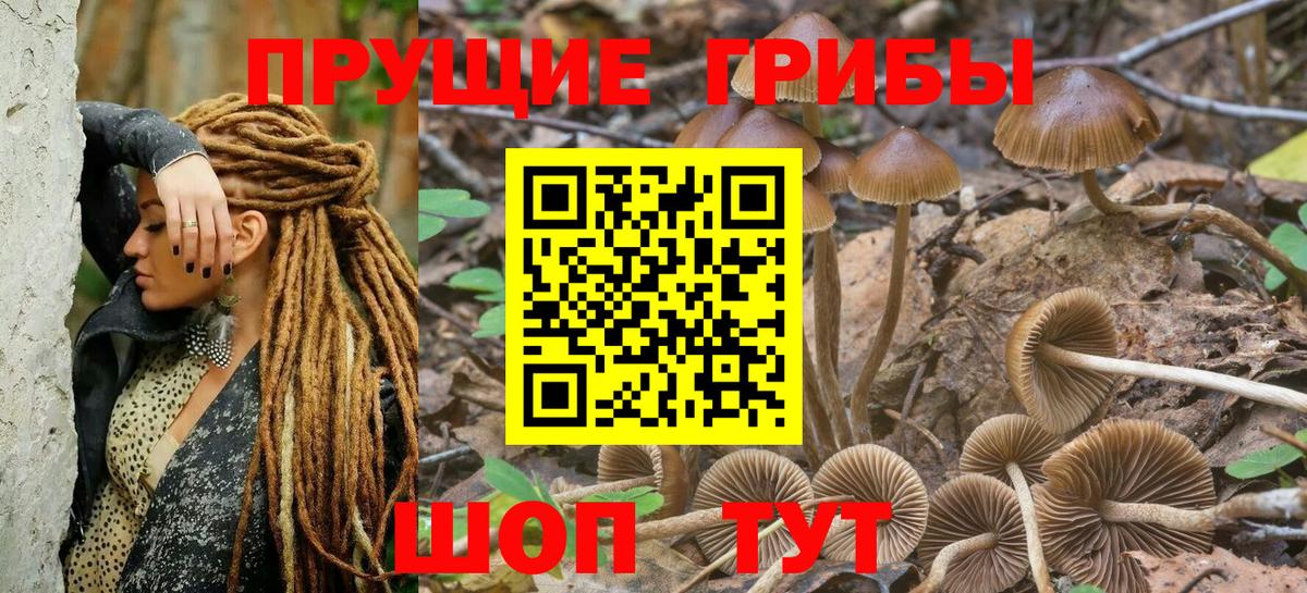Галлюциногенные грибы GOLDEN TEACHER  сколько стоит  Сочи  Псилоцибиновые грибы ЛСД  Вход с VPN 
